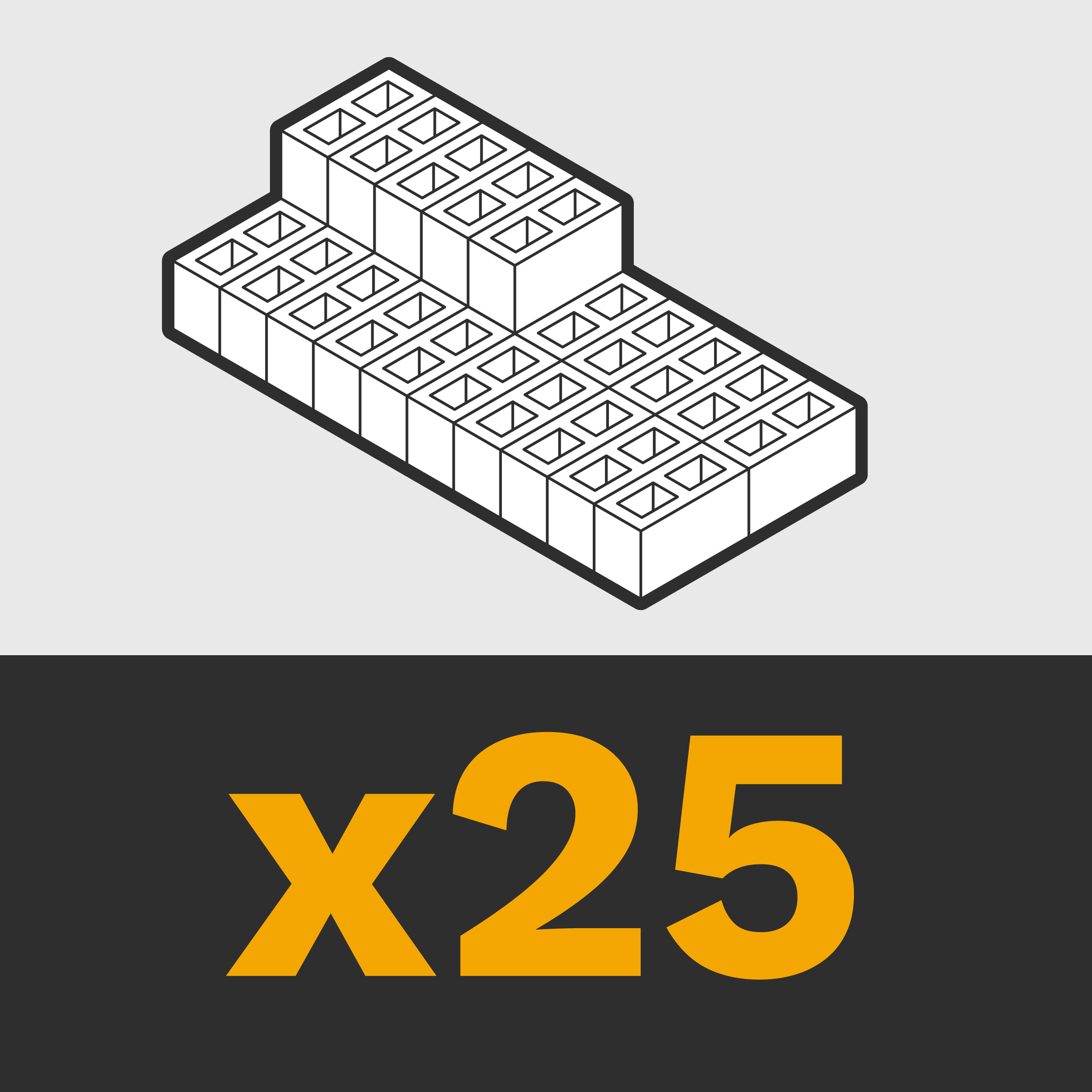 Paquete Constructor - 25 bloques con RESIN8®